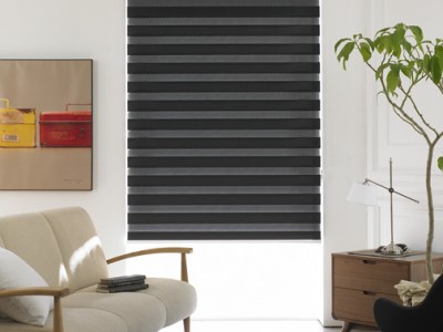 Zebra Blinds