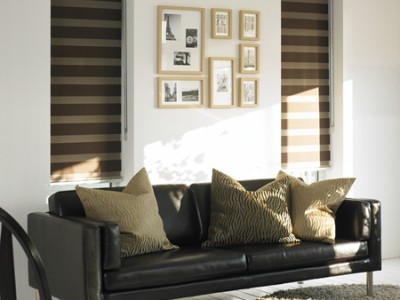 Zebra Blinds by Futura WIndow Decor