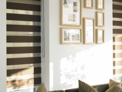 Zebra Blinds by Futura WIndow Decor